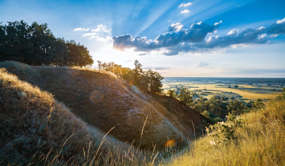 UWAGA! Stosując Te 9 Błędów NIGDY Nie Dowiesz Się Jak wyposażyć mieszkanie
