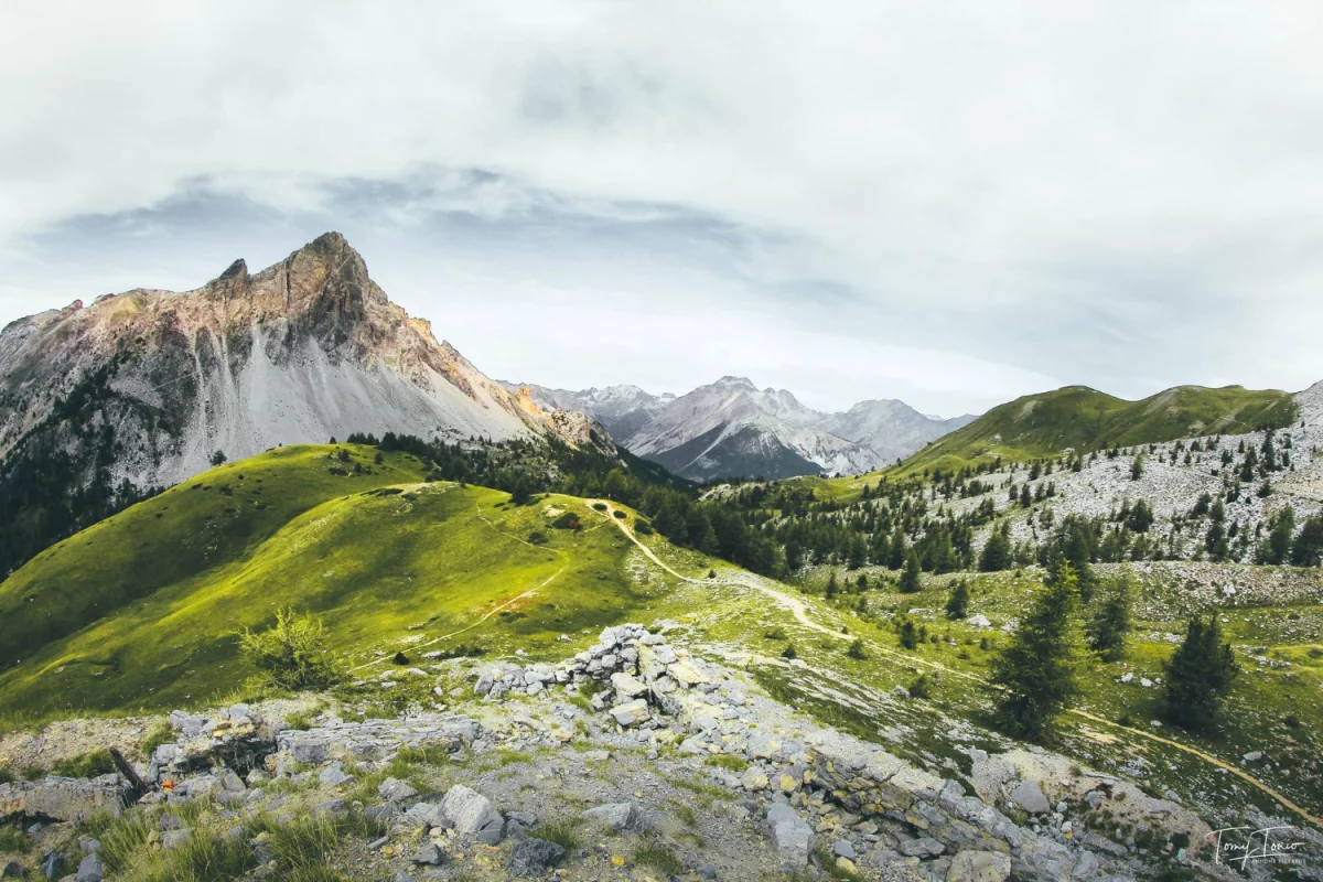 Dobrej jakości kawa