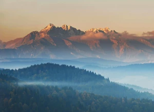 To może Cię zainteresować. Jak Oddać elektrośmiecie w Łodzi profesjonalnie