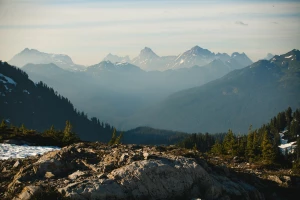Czy można raportować do cbam w niedzielę?